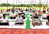 रयात बाहरा एजुकेशन सिटी में मनाया गया अंतर्राष्ट्रीय योग दिवस