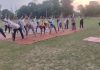 दशमेश नगर बिजली ग्राउंड में मनाया गया अंतराष्ट्रीय योग दिवस