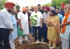 ਵਣ ਮੰਤਰੀ ਲਾਲ ਚੰਦ ਕਟਾਰੂਚੱਕ ਨੇ ਕਿਸਾਨਾਂ ਦੀਆਂ ਮੋਟਰਾਂ ‘ਤੇ 5-5 ਬੂਟੇ ਲਗਾਉਣ ਦੀ ਰਾਜ ਪੱਧਰੀ ਮੁਹਿੰਮ ਦੀ ਸ਼ੁਰੂਆਤ ਪਟਿਆਲਾ ਤੋਂ ਕਰਵਾਈ