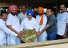 ਬੇਜ਼ੁਬਾਨਾਂ ਦਾ ਦਰਦ ਸਮਝਕੇ ਪਸ਼ੂਆਂ ਦੀ ਸੇਵਾ ਕਰਨਾ ਬਹੁਤ ਹੀ ਪਰਉਪਕਾਰ ਦਾ ਕਾਰਜ: ਜੌੜਾਮਾਜਰਾ