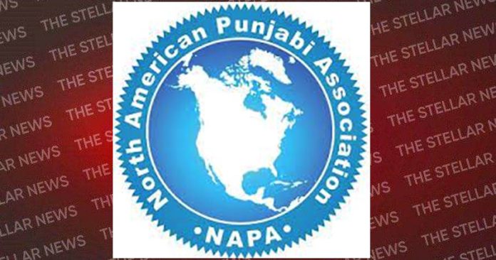 NAPA expresses concern over rising crime in Punjab