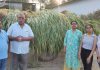 बेजुबानों के प्रति सेवा समर्पण भाव रखकर करें उनकी सेवा: संजीव अरोड़ा