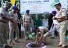 वन महोत्सव 2022: डीजीपी पंजाब ने पंजाब पुलिस मुख्यालय में लगाया ‘सागवान’ का पौधा