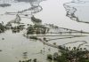 14 lost lives in heavy rainfall in regions of southern Gujarat