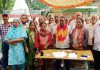 फरनोल पंचायत में सजा नरेश दर्जी का जनमंच