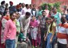 पंजाब सरकार की ओर से शहीद-ए-आज़म स. भगत सिंह हरियावल लहर के अंतर्गत प्रदेश को बनाया जाएगा हरा-भरा: ब्रह्म शंकर जिंपा