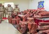Gang of 5 smugglers apprehended by Bengaluru Cop, Rs. 2 crore worth red sanders seized