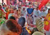 नागदेवता वृंदावन मंदिर में नागपंचमी मेले में हजारों श्रद्धालु हुए नतमस्तक