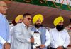 धार्मिक एवं सामाजिक कार्यों में सराहनीय योगदान हेतु हरीश सैनी सम्मानित