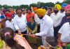ਡੇਰਾ ਬਾਬਾ ਨਾਨਕ ਦੀ ਪਾਵਨ ਧਰਤੀ ’ਤੇ ‘ਖੇਡਾਂ ਵਤਨ ਪੰਜਾਬ ਦੀਆਂ’ ਦਾ ਸ਼ਾਨਦਾਰ ਅਗਾਜ਼