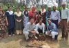 ਵਾਤਾਵਰਣ ਦੀ ਸੁਰੱਖਿਆ ਲਈ ਵੱਧ ਤੋਂ ਵੱਧ ਪੌਦੇ ਲਗਾਏ ਜਾਣ:ਅਟਵਾਲ