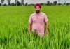 ਫ਼ਸਲਾਂ ਦੀ ਰਹਿੰਦ ਖੂੰਹਦ ਦਾ ਤਕਨੀਕੀ ਸਾਧਨ ਨਾਲ ਨਿਪਟਾਰਾ ਕਰਕੇ ਨਰਿੰਦਰਪਾਲ ਸਿੰਘ ਹੋਰਨਾਂ ਕਿਸਾਨਾਂ ਲਈ ਬਣਿਆ ਰਾਹ ਦਸੇਰਾ