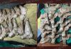 PUNJAB POLICE ADOPTS PRO-ACTIVE APPROACH TO BUST ILLICIT WEAPONS & DRUG SUPPLY NETWORK FROM POINT-OF-ORIGIN