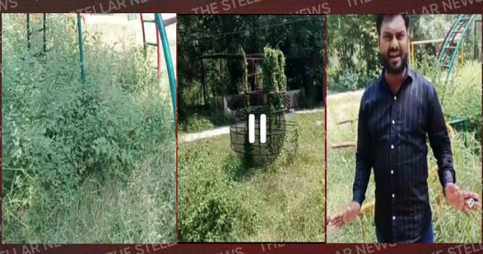 jawed-khan-on-green-view-park-hoshiarpur