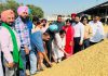 Jai Inder Kaur visits Mandis of Sirhind and Khanna