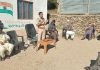 SP OPERATIONS DODA CONDUCTED PCPG MEETING AT MANJMI DESSA
