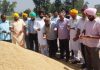 ਚੇਅਰਮੈਨ ਰਮਨ ਬਹਿਲ ਨੇ ਫੋਕਲ ਪੁਆਇੰਟ ਗਜ਼ਨੀਪੁਰ ਵਿਖੇ ਝੋਨੇ ਦੀ ਖਰੀਦ ਦਾ ਲਿਆ ਜਾਇਜਾ