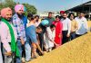 ਜੈ ਇੰਦਰ ਕੌਰ ਨੇ ਸਰਹਿੰਦ ਅਤੇ ਖੰਨਾ ਦੀਆਂ ਮੰਡੀਆਂ ਦਾ ਕੀਤਾ ਦੌਰਾ