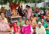 श्री वैष्णो धाम होशियारपुर में आंवला नवमी धूमधाम से मनाई गई