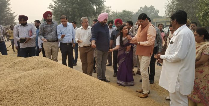 Rahul Bhandari at Rajpura Mandi 1