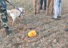 RECOVERY OF CONTRABAND ITEM IN DISTRICT AMRITSAR