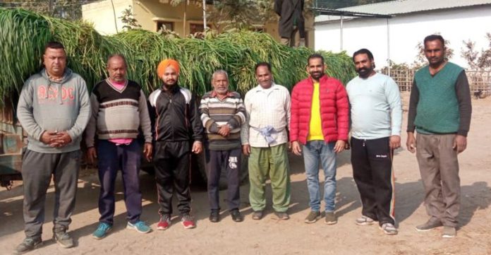 animal-care-society-hoshiarpur