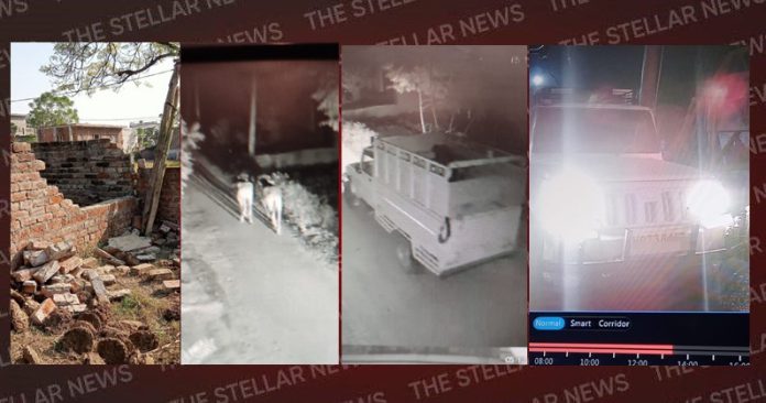 buffelow-theft-at-khusropur-bullowal-hoshiarpur-punjab