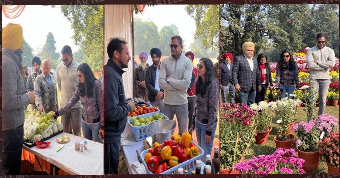 gava-and-flower-show-patiala-punjab