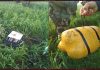 DRONE AND NARCOTICS RECOVERED BY BSF IN AMRITSAR