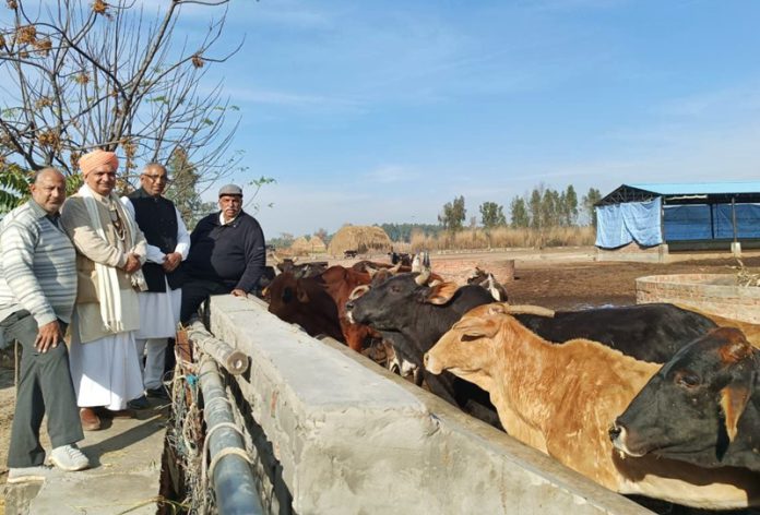 pt-omkar-nath-mohan-lal-pehalwan-visit-falahi-gaushala-hoshiarpur-punjab