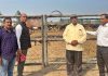 शहरवासियों के सहयोग के साथ-साथ सरकारी खरीद से रैगुलर चारा खरीदना ज़रूरीः नई सोच संस्था