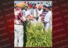 मंत्री कुलदीप सिंह धालीवाल द्वारा घन्नौर और राजपुरा का दौरा
