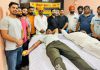 सुमल इंटरप्राइजेज अड्डा दोसडक़ा में तीसरा रक्तदान कैंप आयोजित