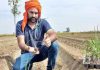 ਕਿਸਾਨਾਂ ਲਈ ਮਿਸਾਲ ਬਣਿਆ ਪਿੰਡ ਭਾਮੜੀ ਦਾ ਅਗਾਂਹਵਧੂ ਨੌਜਵਾਨ ਕਿਸਾਨ