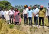 बेमौसमी बारिश के कारण फसलों के हुए नुकसान का डिप्टी कमिश्नर ने लिया जायजा