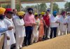ਕਪੂਰਥਲਾ ਦੀ ਅਨਾਜ ਮੰਡੀਆਂ ‘ਚ ਕਣਕ ਦੀ ਫਸਲ ਦੀ ਸਰਕਾਰੀ ਖਰੀਦ ਹੋਈ ਸ਼ੁਰੂ