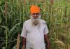 ਰਸਾਇਣਕ ਖੇਤੀ ਨੂੰ ਜੈਵਿਕ ਖੇਤੀ ਵਿੱਚ ਬਦਲਣ ਵਾਸਤੇ ਲੱਗਦੇ ਹਨ ਤਿੰਨ ਸਾਲ: ਕਿਸਾਨ ਗੁਰਮੁੱਖ