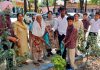 पर्यावरण की संभाल आज के दौर की मुख्य जरूरत: संगीता सैनी