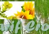 Union Cabinet approves Minimum Support Prices (MSP) for Kharif Crops for Marketing Season 2023-24
