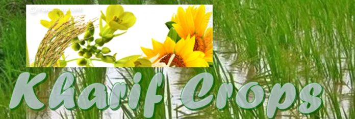 KHARIF CROPS