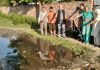 संघर्ष कमेटी ने मोहल्ला नीलकंठ में आ रही समस्या को मोहल्ला निवासियों के सहयोग से किया उजागर