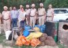 आबकारी विभाग द्वारा व्यापक तलाशी मुहिम के दौरान 17000 किलो लाहन, 320 लीटर नाजायज शराब बरामद