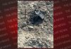Pakistani Drone Recovered in Joint Operation of BSF & Punjab Police in Taran-Taran District