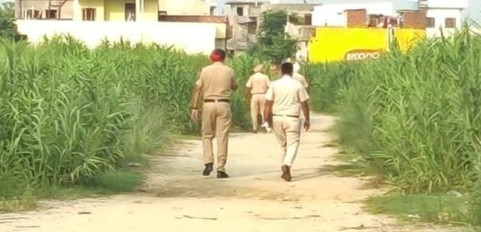 search-opration-hoshiarpur-punjab
