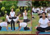 स्वस्थ्य शरीर एवं निरोगी काया के लिए योग जरुरी: मानसी सूद