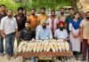 पुलिस ने फाजिल्का से 20 किलो हेरोइन की बरामद, दो गिरफ़्तार