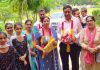 डाइट होशियारपुर से सीनियर लेक्चरर मनमोहन सैनी हुए सेवानिवृति