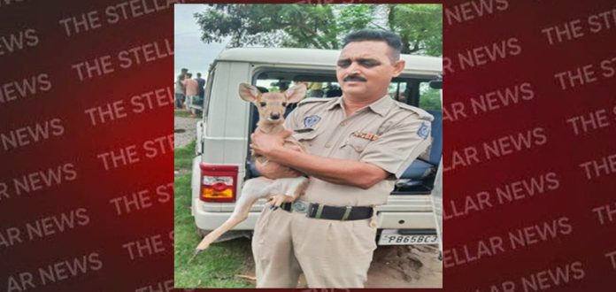 pathankot police safe field people and animal
