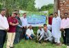 रोटरी क्लब होशियारपुर नॉर्थ के सदस्यों ने किया सर्वहितकारी विद्या मंदिर में किया पौधारोपण