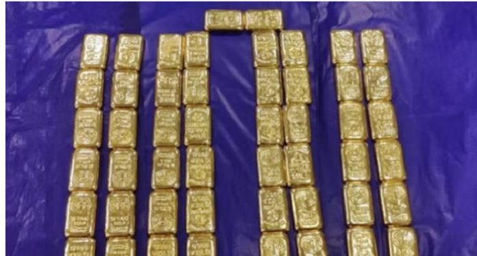 gold biscut
